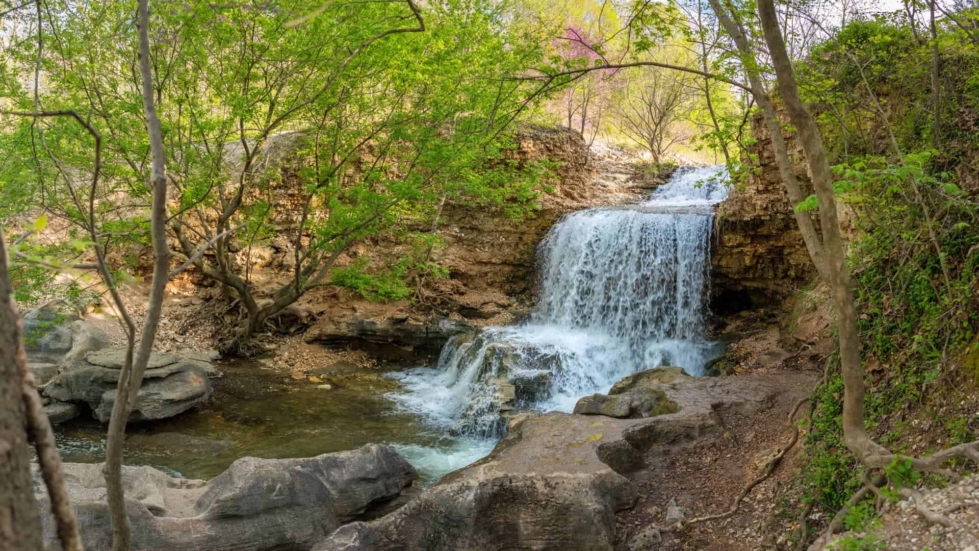 Photograph from the Bella Vista community guide