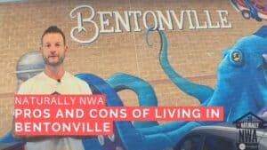 pros-and-cons-of-living-in-bentonville-arkansas-MYvkFLtMkYI