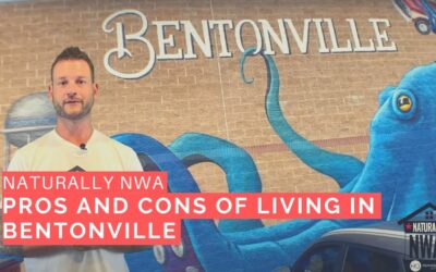 Pros And Cons of Living in Bentonville, Arkansas